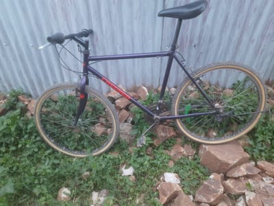 Creeper bike